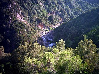 <span class="mw-page-title-main">Fiumorbo</span> River in the department of Haute-Corse, Corsica