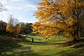 Der Rombergpark im Herbst 2007