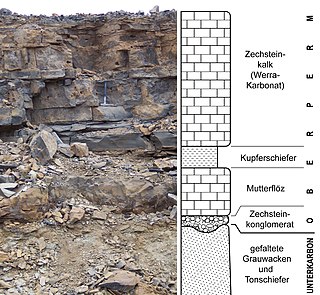 <span class="mw-page-title-main">Wuchiapingian</span> Eighth stage of the Permian