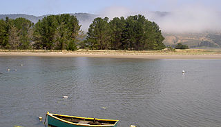 <span class="mw-page-title-main">Kent Island (California)</span>