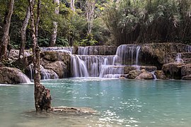 Kuang Si Falls with submerged tree in turquoise water near Luang Prabang Laos