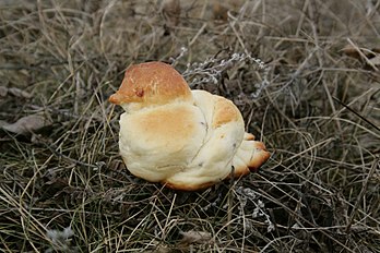 Zhavoronki na forma de cotovia é um tradicional brioche eslavo oriental do distrito de Shebekinsky, região de Belgorod, Rússia. (definição 3 888 × 2 592)