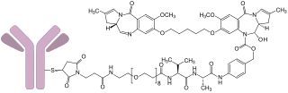 <span class="mw-page-title-main">Loncastuximab tesirine</span> Medication