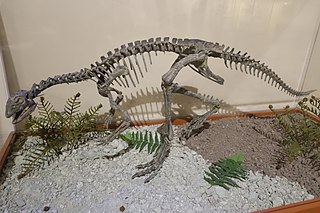 <i>Nanosaurus</i> Extinct genus of dinosaurs