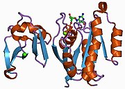 PDB 1c1y EBI.jpg