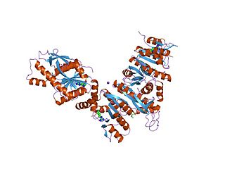 <span class="mw-page-title-main">Amino acid kinase</span>