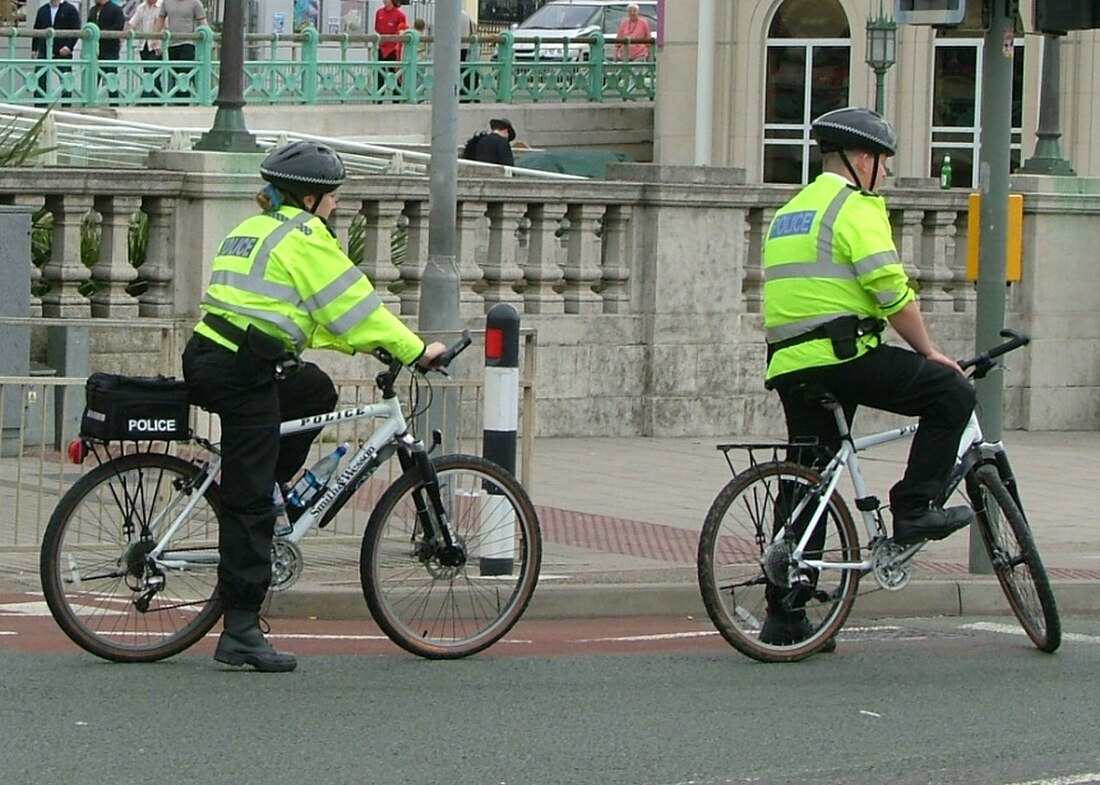 Policiamento ostensivo