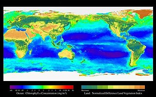 <span class="mw-page-title-main">Sustainable fishery</span> Sustainable fishing for the long term fishing