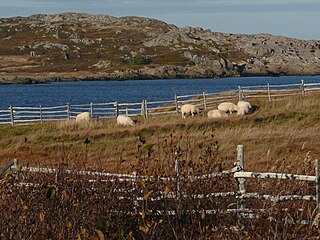 <span class="mw-page-title-main">Tilting, Newfoundland and Labrador</span> Community in Newfoundland and Labrador, Canada