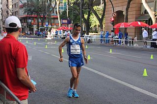 <span class="mw-page-title-main">Alexandros Papamichail</span> Greek racewalker