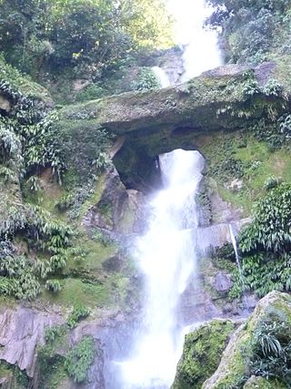 <span class="mw-page-title-main">Rio Abiseo National Park</span> UNESCO World Heritage Site in Latin America and the Caribbean