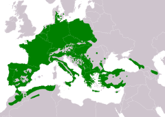 Distribución de Certhia brachydactyla