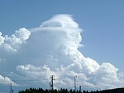 Cumulus congestus pileus