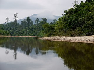 <span class="mw-page-title-main">Kampung Peta</span>