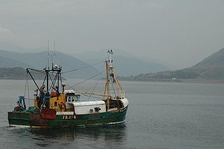 Fishing trawler Commercial vessel designed to operate fishing trawls