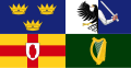 Flag of the 4 provinces of Ireland (hand and arm)