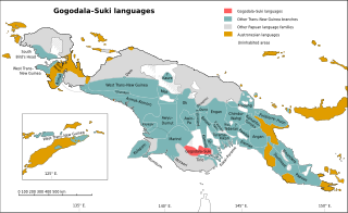 <span class="mw-page-title-main">Gogodala–Suki languages</span>