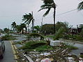 Image 118Hurricane Georges downed trees in Key West along the old houseboat row on South Roosevelt Blvd. (from 1990s)