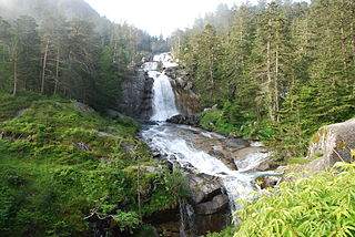 <span class="mw-page-title-main">Pyrenees conifer and mixed forests</span>