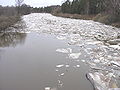 Leduonėšis Vėntuo, 2006 m. pavasari