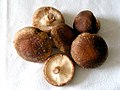 shiitake .