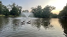 Middlesex Duck Pond.jpg