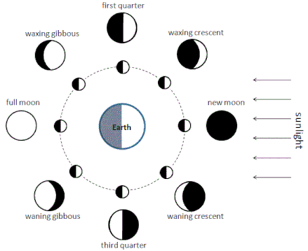 Moon Phase Diagram