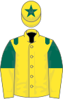 Yellow, dark green epaulets, dark green and yellow halved sleeves, yellow cap, dark green star