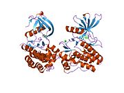 PDB 1u4d EBI.jpg