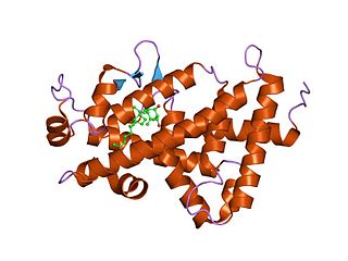 <span class="mw-page-title-main">Vitamin D receptor</span> Transcription factor activated by vitamin D