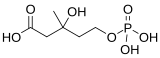 Image illustrative de l’article Acide 5-phosphomévalonique