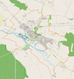 Mapa konturowa Pińczowa, w centrum znajduje się punkt z opisem „Stara Synagoga w Pińczowie”