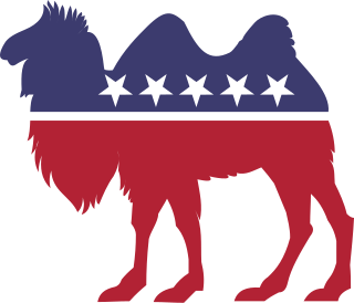 <span class="mw-page-title-main">Prohibition Party</span> Political party in the United States