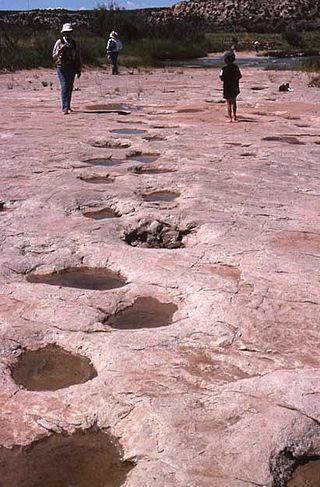 <span class="mw-page-title-main">Purgatoire River track site</span> Dinosaur track site in Colorado, USA