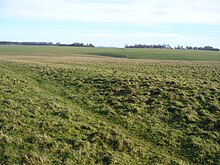 Photographie en couleur d'un terrain herbeux.