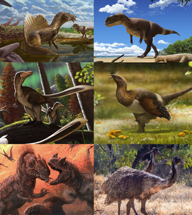 Некоторые представители теропод. 1-й ряд: Spinosaurus aegyptiacus & Carcharodontosaurus saharicus, Saltriovenator zanellai; 2-й ряд: аляскинские Saurornitholestinae[англ.], Serikornis sungei; 3-й ряд: Allosaurus sp. & Ceratosaurus sp., Dromaius novaehollandiae