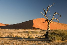 Desert of Namibia