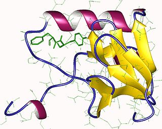 Neurophysin II