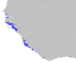 Kart som viser Guineansk mangrove.