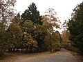 Le parc central de la ville en automne