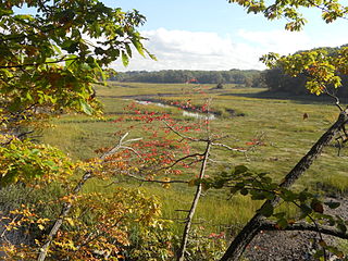 <span class="mw-page-title-main">Old Bridge Township, New Jersey</span> Township in Middlesex County, New Jersey, US