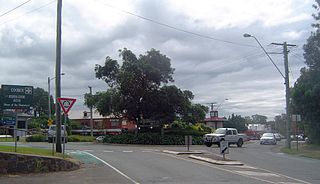 <span class="mw-page-title-main">Cooroy, Queensland</span> Town in Queensland, Australia