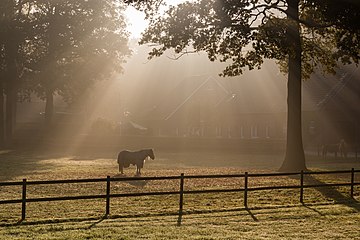 Dülmen, North Rhine-Westphalia, Germany