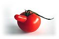 Tomate Frucht mit Nase nicht genetisch / Tomatoe fruit with nose not genetic