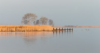 Goëngarijpsterpoelen (Frysk) Goaiïngarypster Puollen (d.j.b.) 20