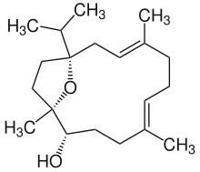 Incensole.svg