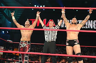 <span class="mw-page-title-main">Ink Inc.</span> Professional wrestling tag team