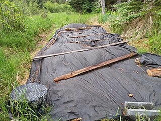 <span class="mw-page-title-main">Landscape fabric</span> Textile material used to control weeds