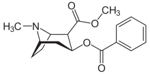 Cocaine, a precursor for anatoxin-a synthesis.