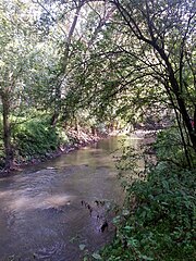 Photographie en couleurs d'un petit cours d'eau ombragé avec jeux de lumière dans la végétation